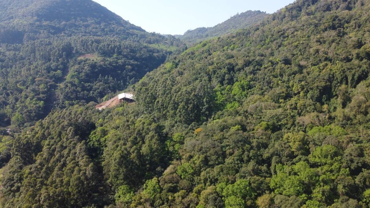 Sítio, 1 hectares - Foto 13