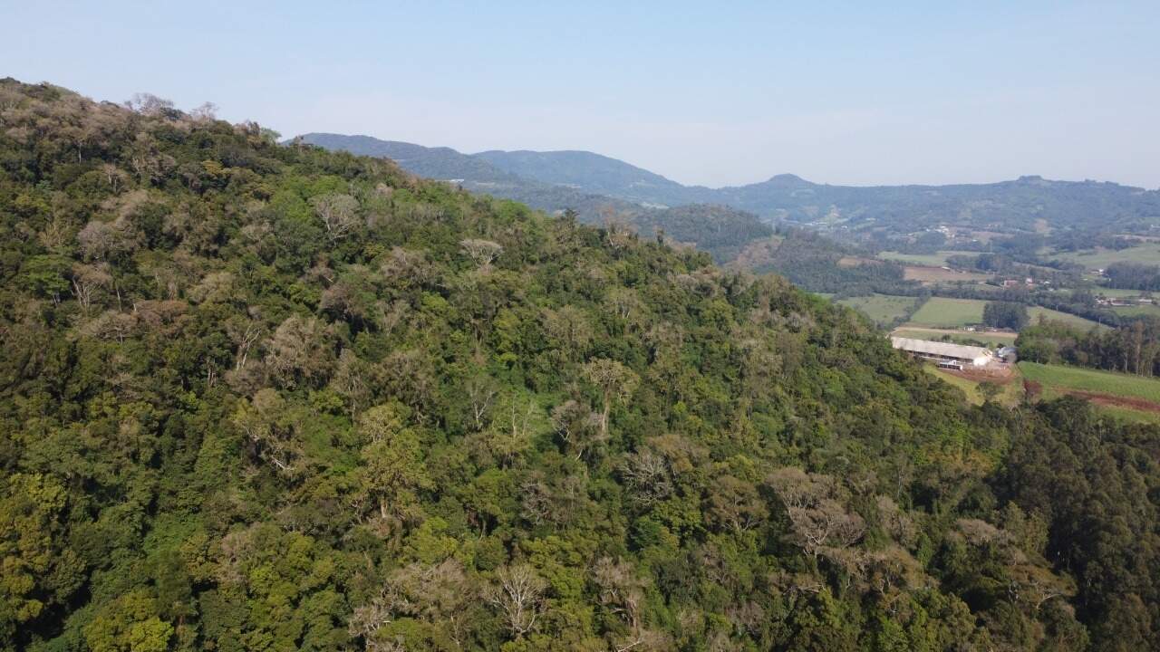 Sítio, 1 hectares - Foto 14