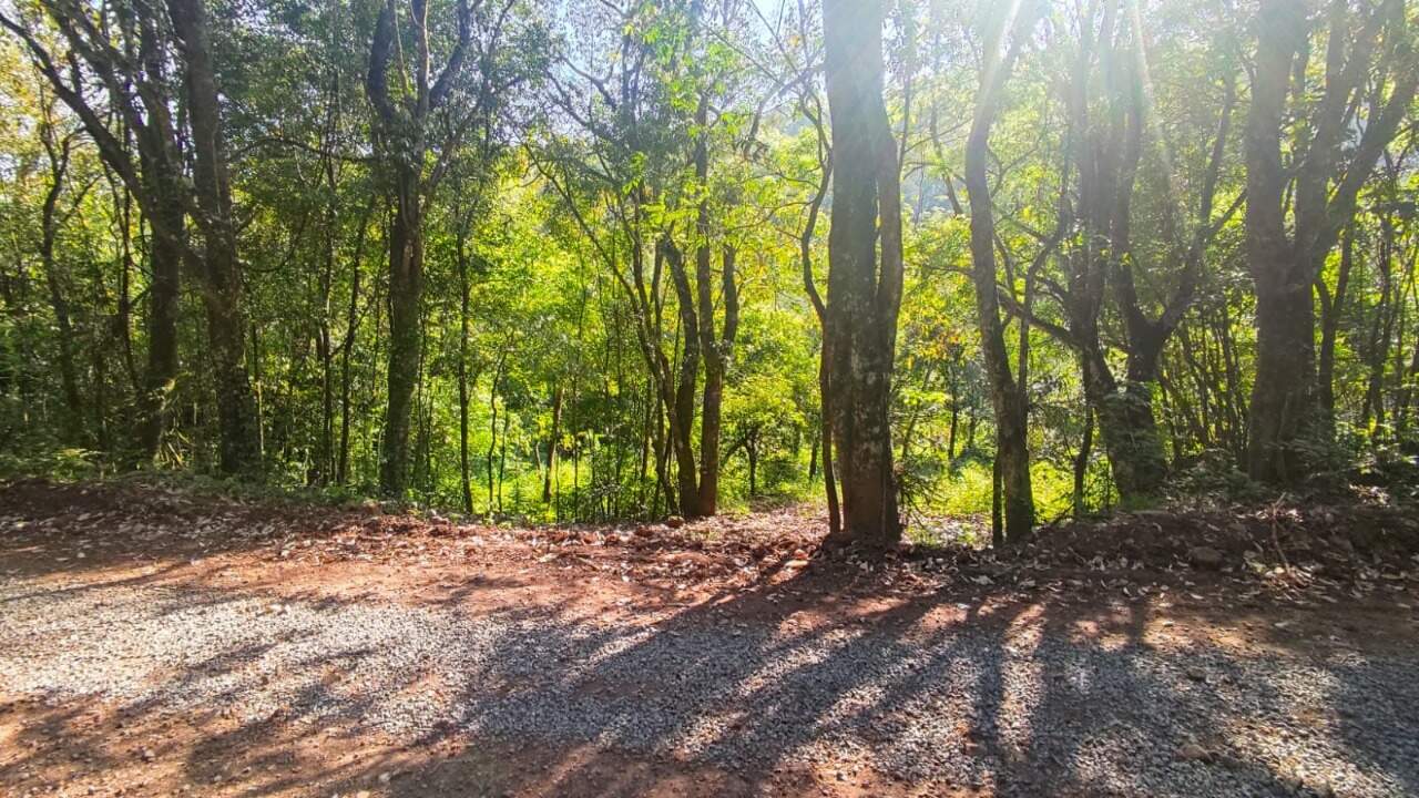 Sítio, 1 hectares - Foto 15