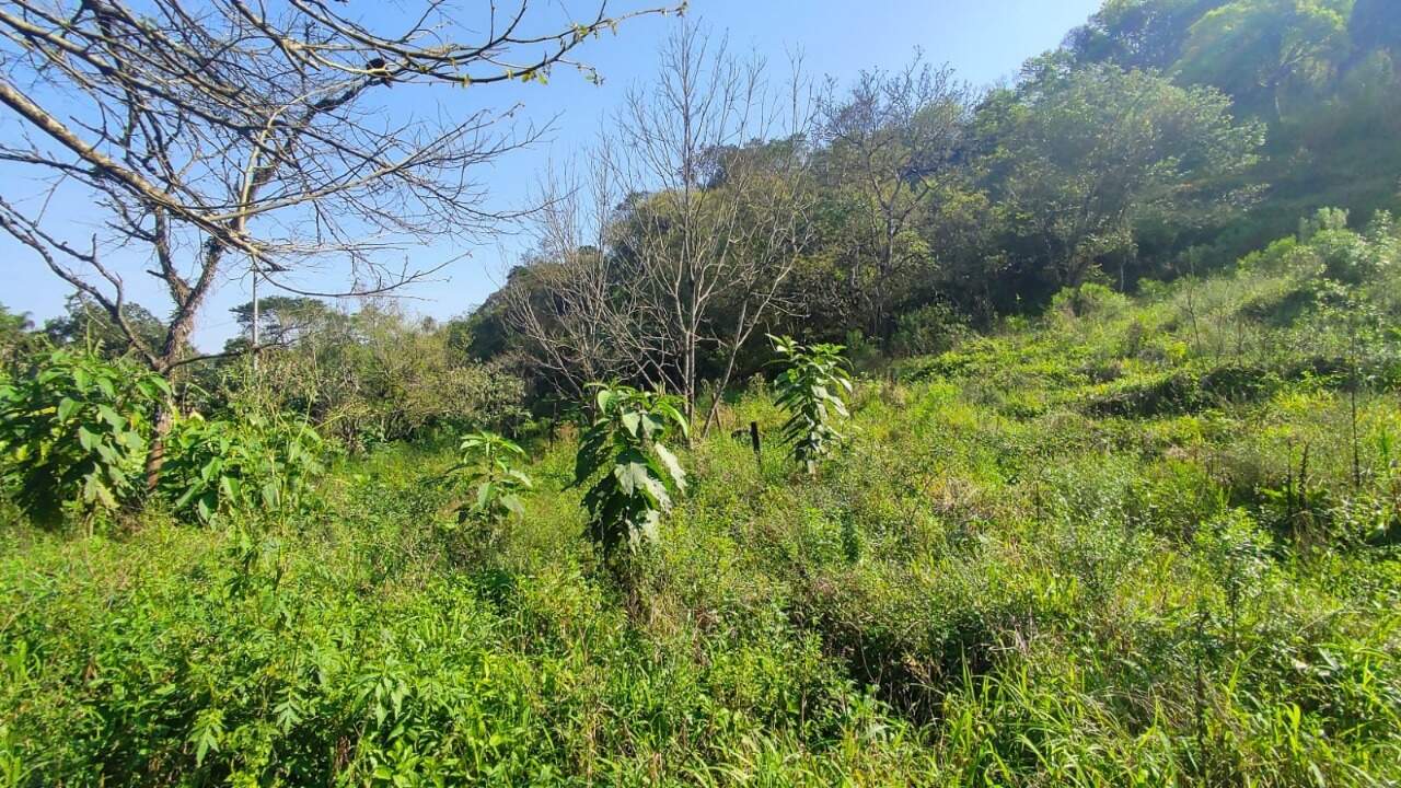 Sítio, 1 hectares - Foto 17