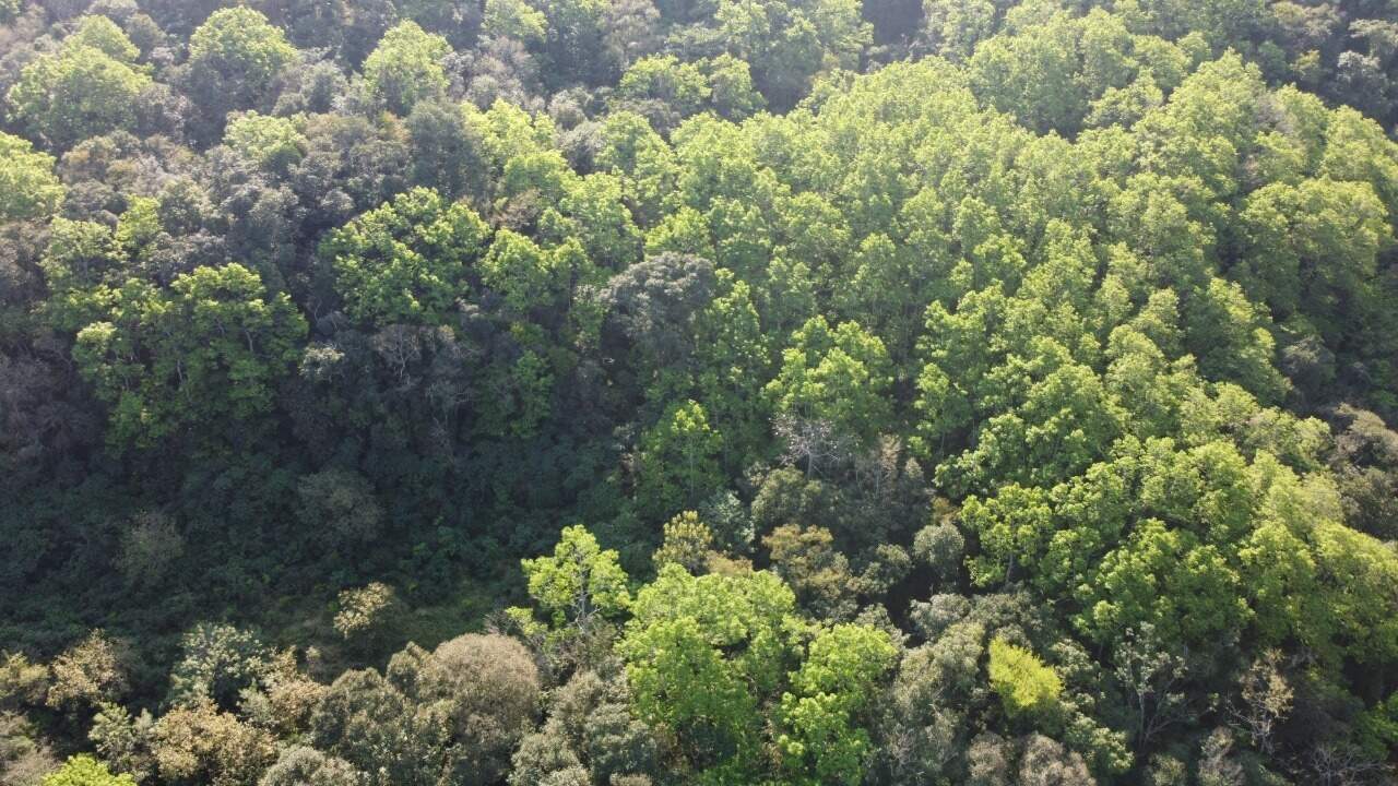 Sítio, 1 hectares - Foto 18