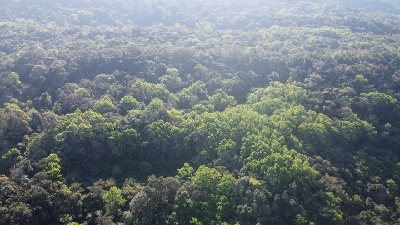 Sítio, 1 hectares - Foto 21