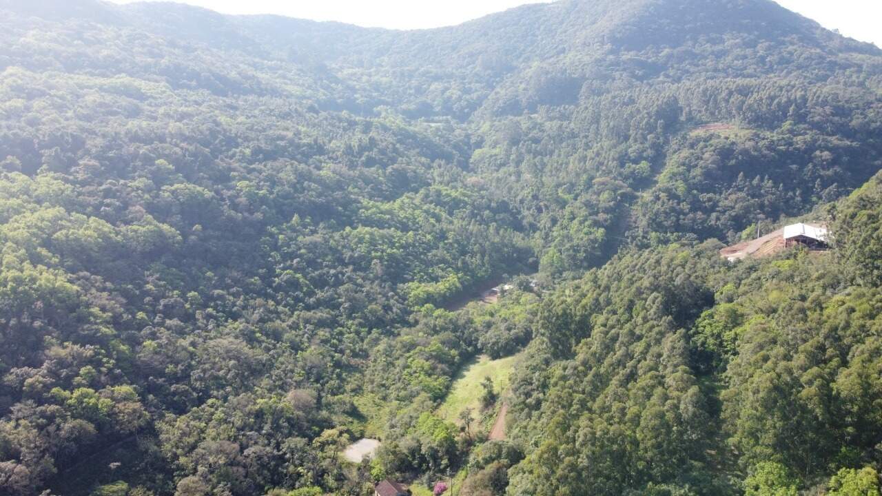 Sítio, 1 hectares - Foto 23