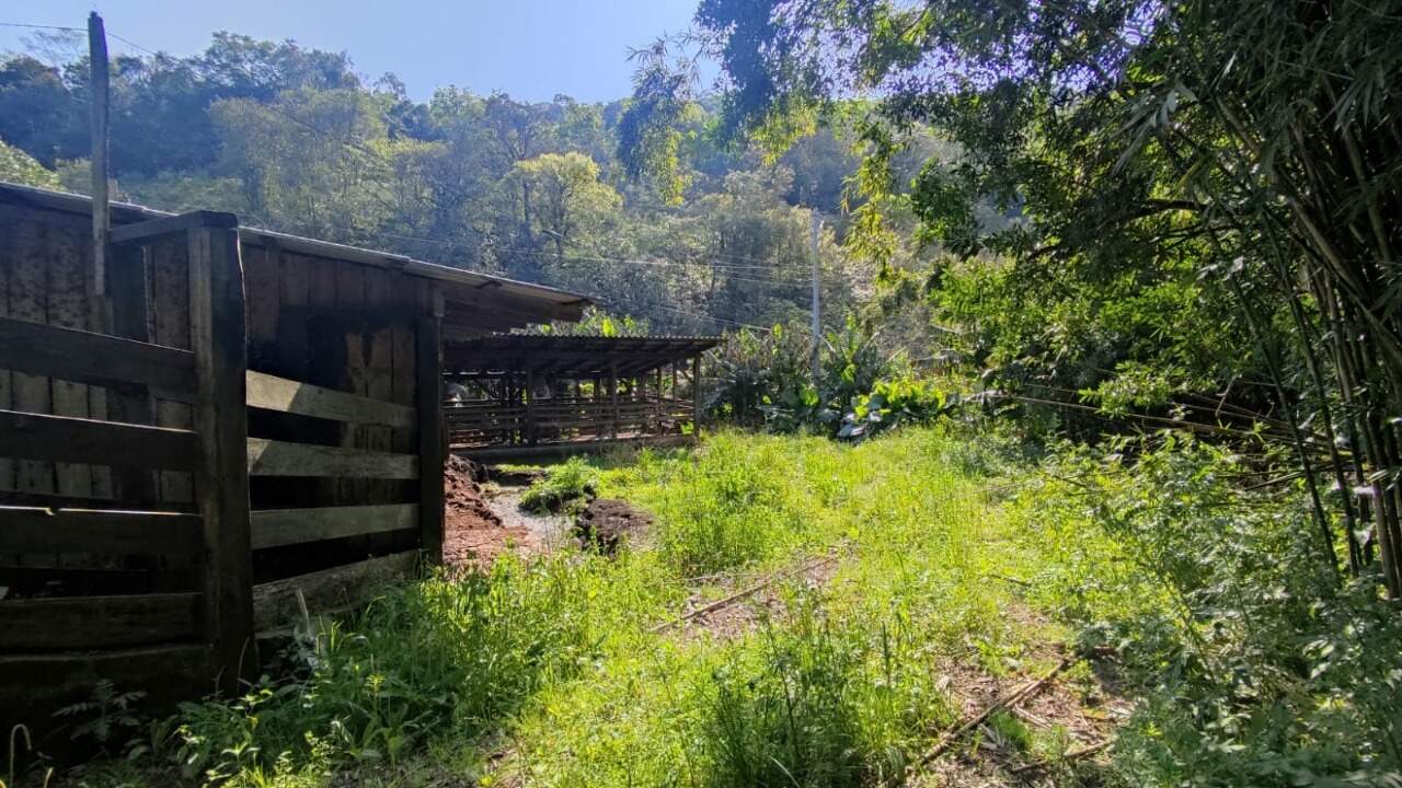 Sítio, 1 hectares - Foto 24