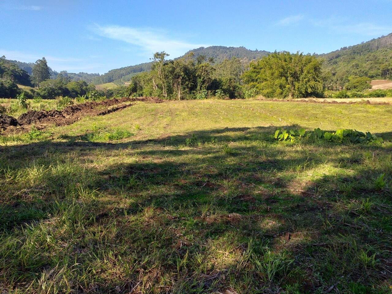 Terreno à venda, 120000m² - Foto 5