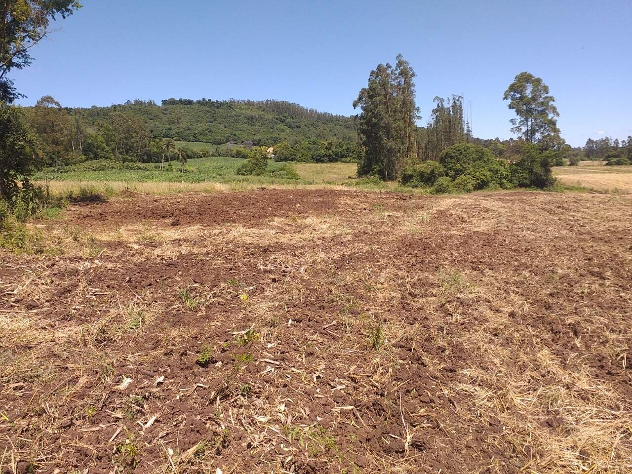 Terreno à venda, 120000m² - Foto 9