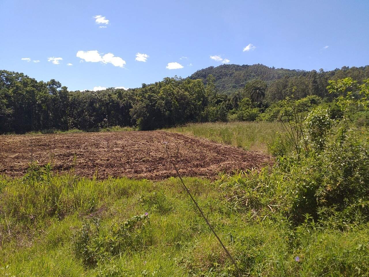 Terreno à venda, 120000m² - Foto 11