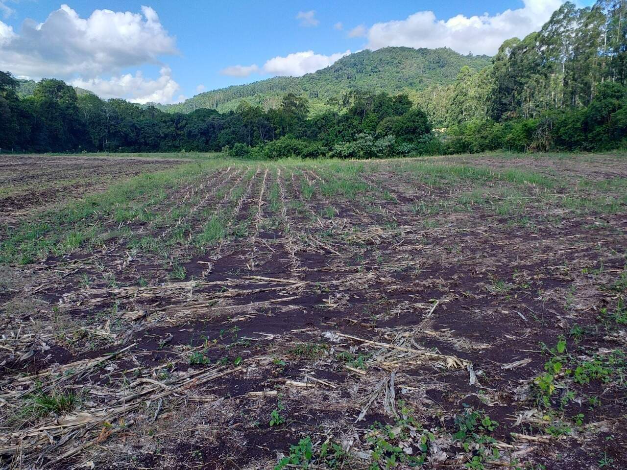 Terreno à venda, 120000m² - Foto 16