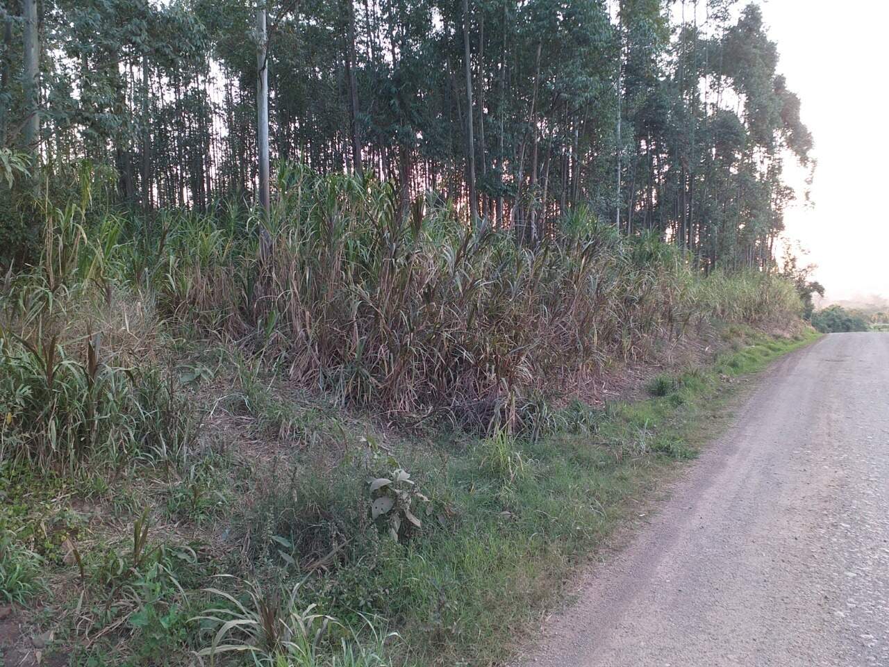 Terreno à venda, 120000m² - Foto 17