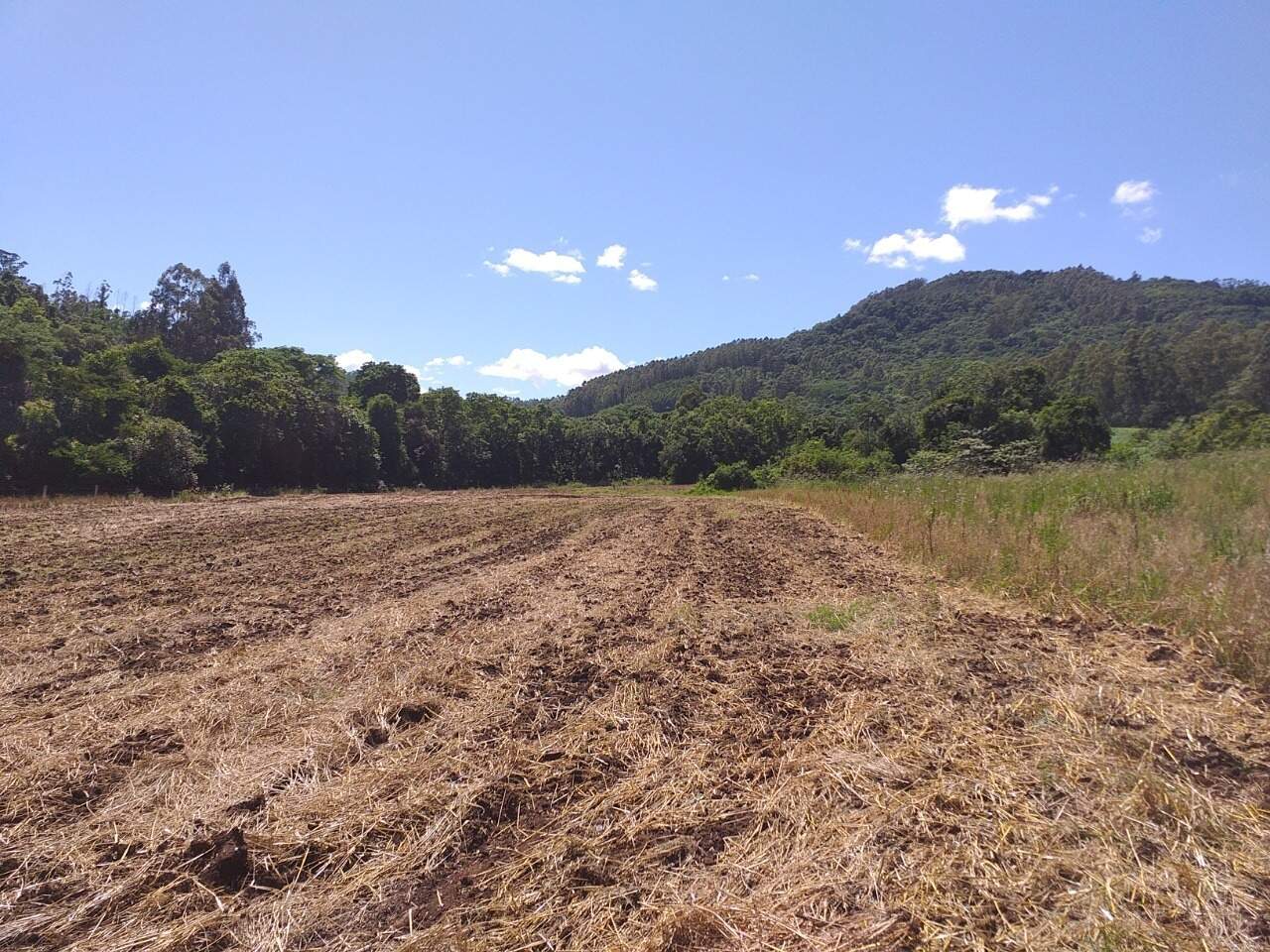 Terreno à venda, 120000m² - Foto 20