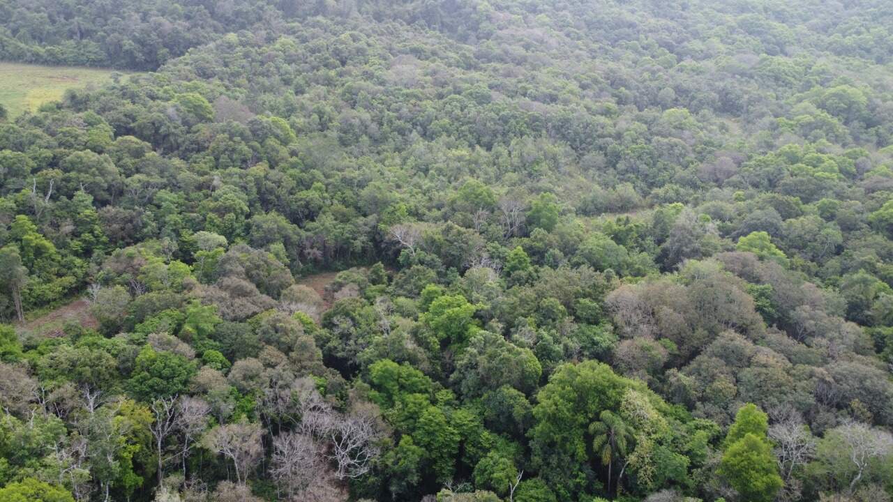 Terreno à venda, 60m² - Foto 4