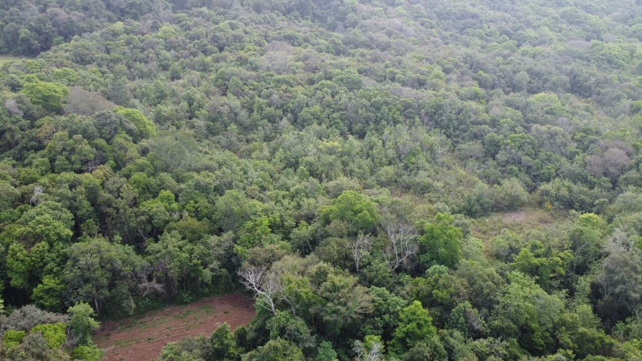 Terreno à venda, 60m² - Foto 5