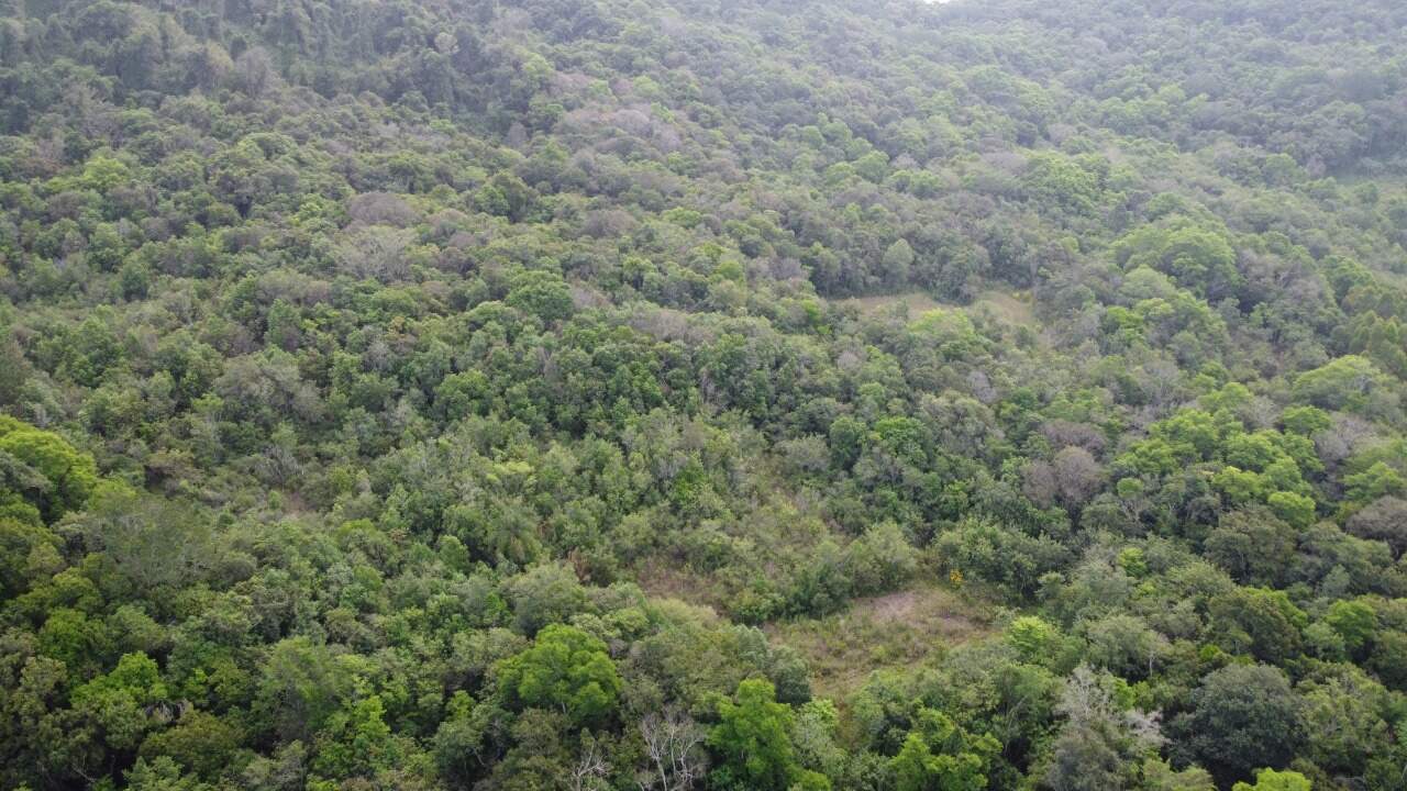 Terreno à venda, 60m² - Foto 6