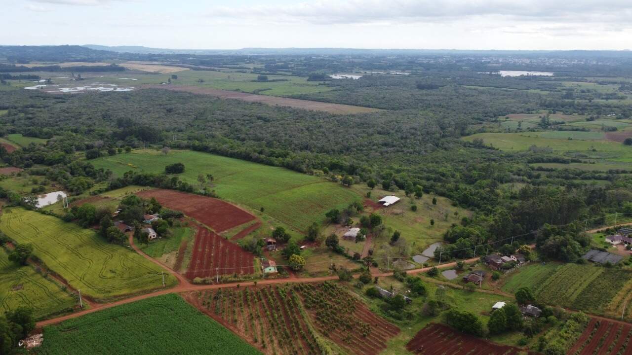 Fazenda à venda com 4 quartos, 175m² - Foto 1