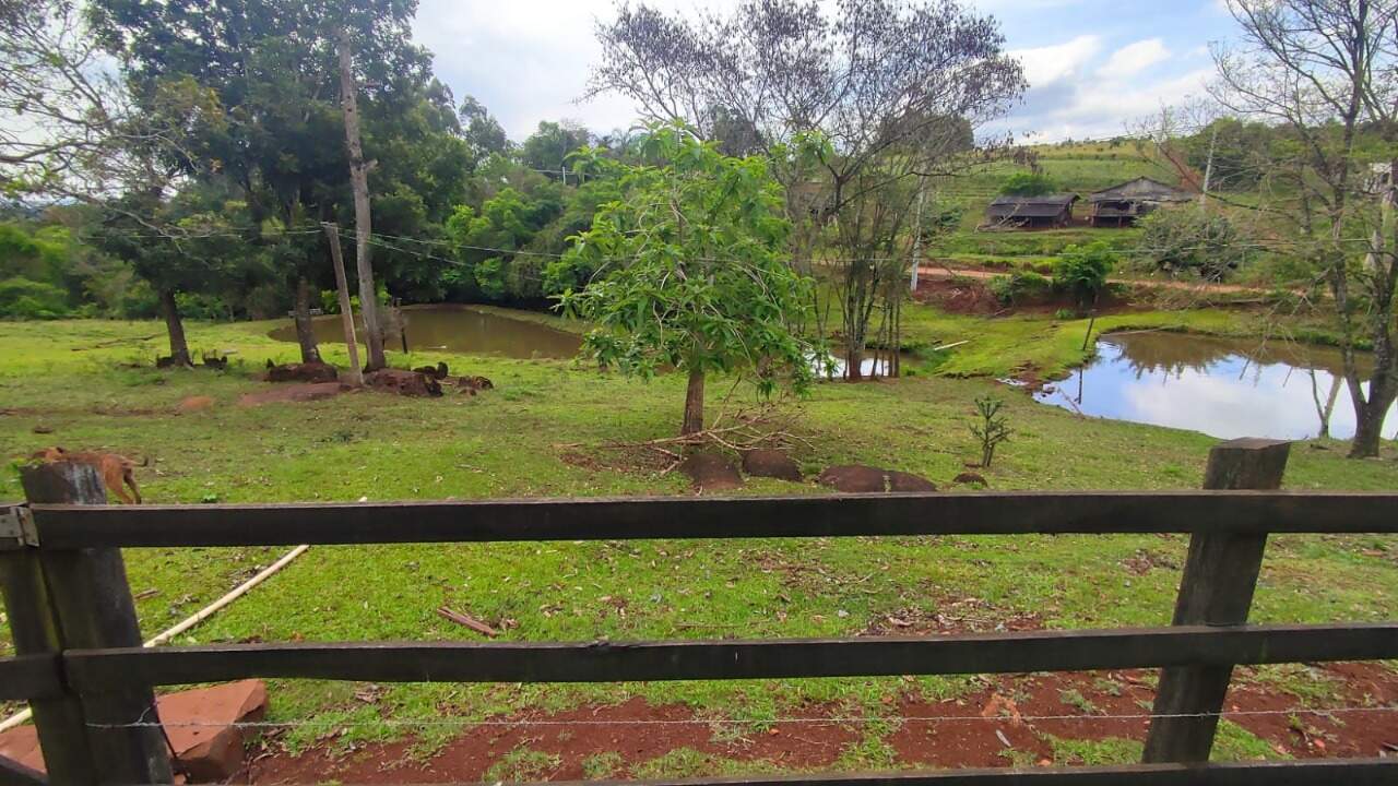 Fazenda à venda com 4 quartos, 175m² - Foto 6