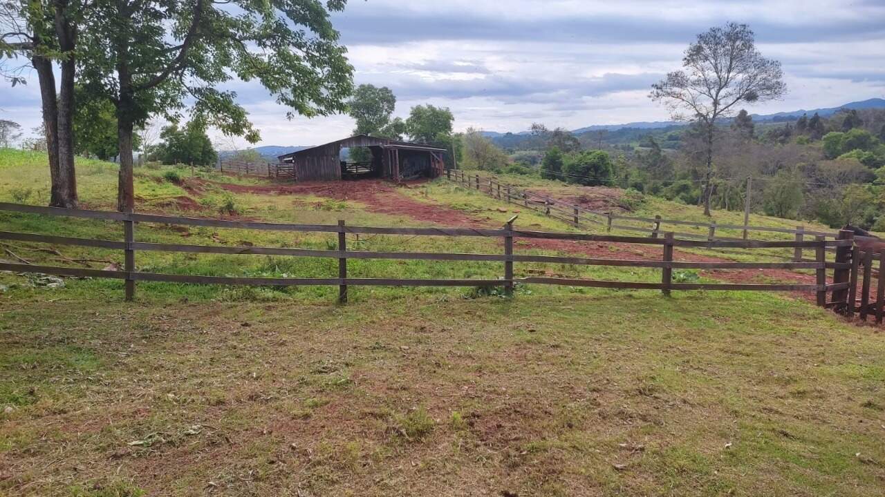 Fazenda à venda com 4 quartos, 175m² - Foto 15