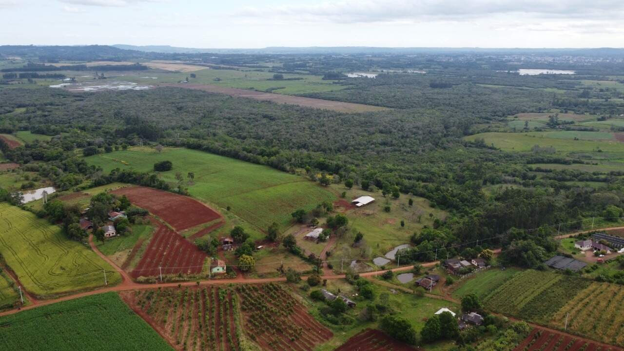 Fazenda à venda com 4 quartos, 175m² - Foto 16