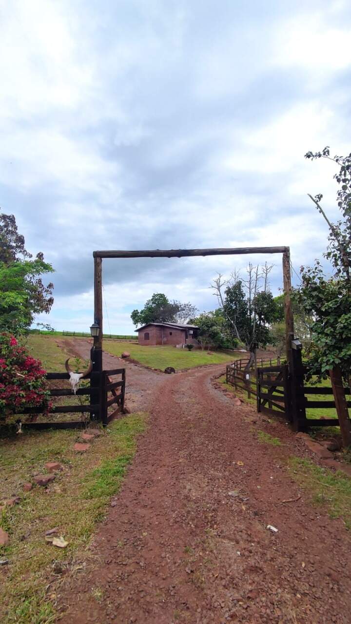 Fazenda à venda com 4 quartos, 175m² - Foto 23