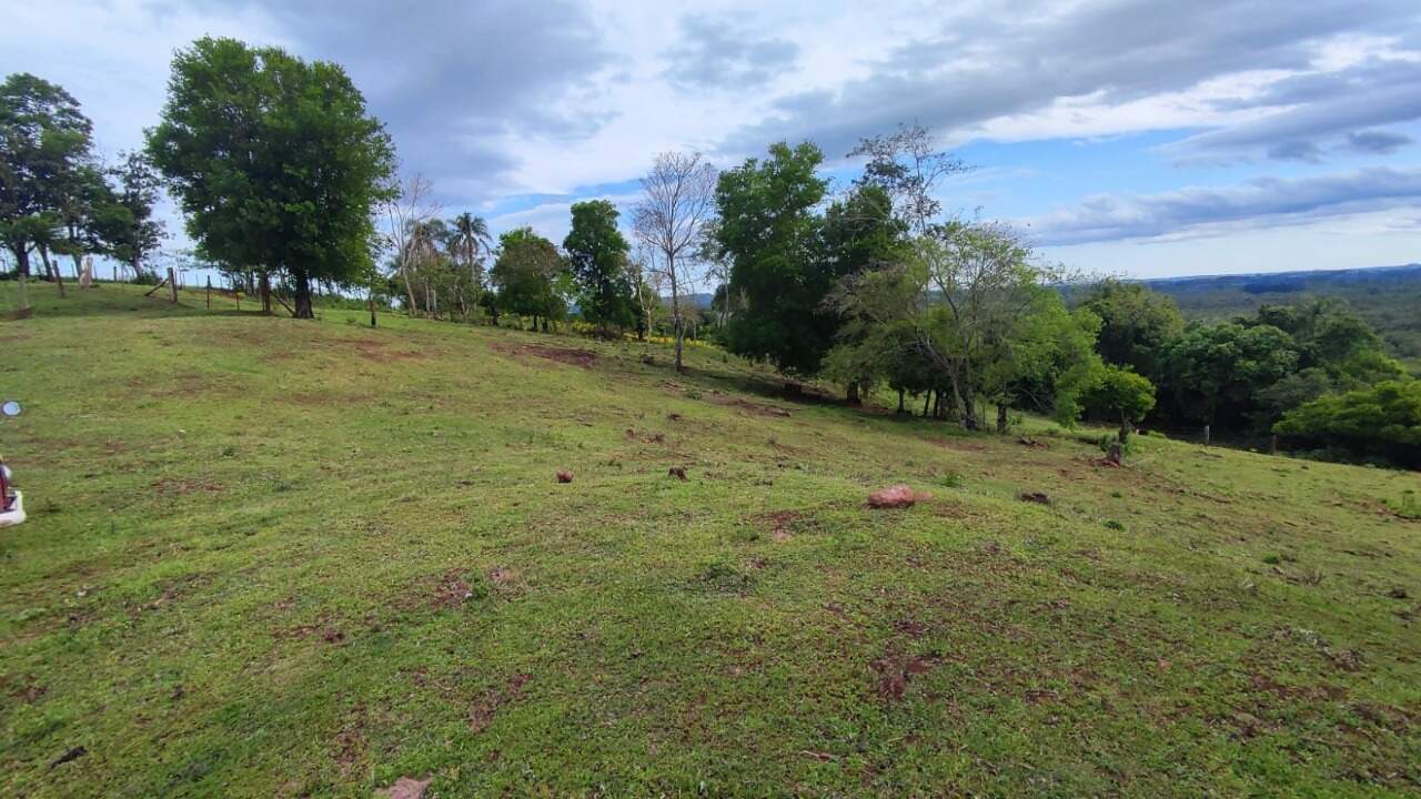 Fazenda à venda com 4 quartos, 175m² - Foto 30