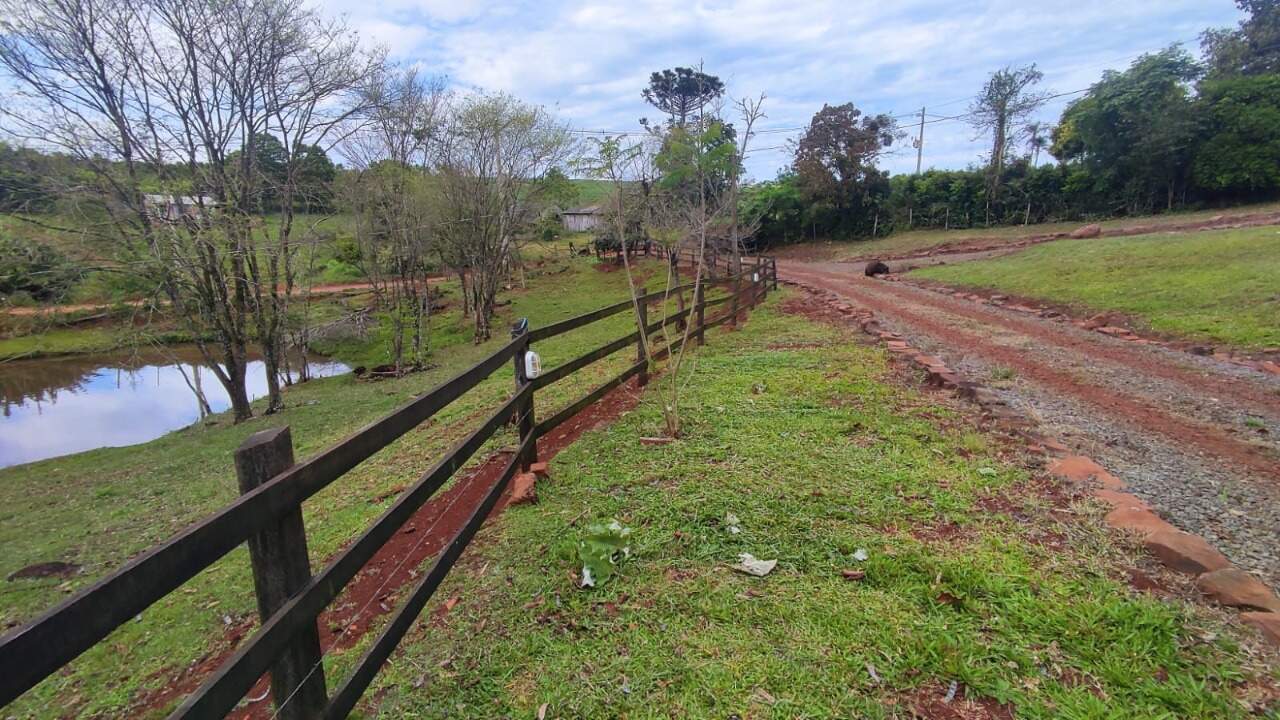 Fazenda à venda com 4 quartos, 175m² - Foto 31