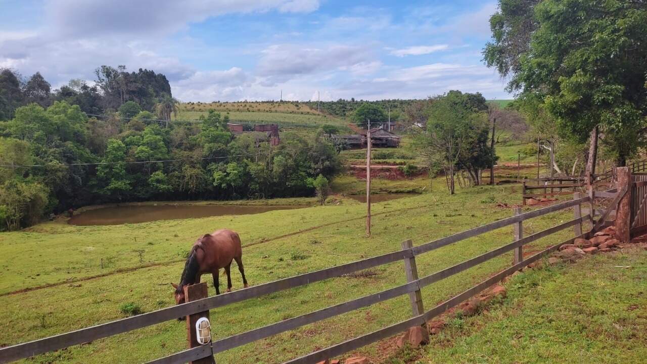 Fazenda à venda com 4 quartos, 175m² - Foto 33