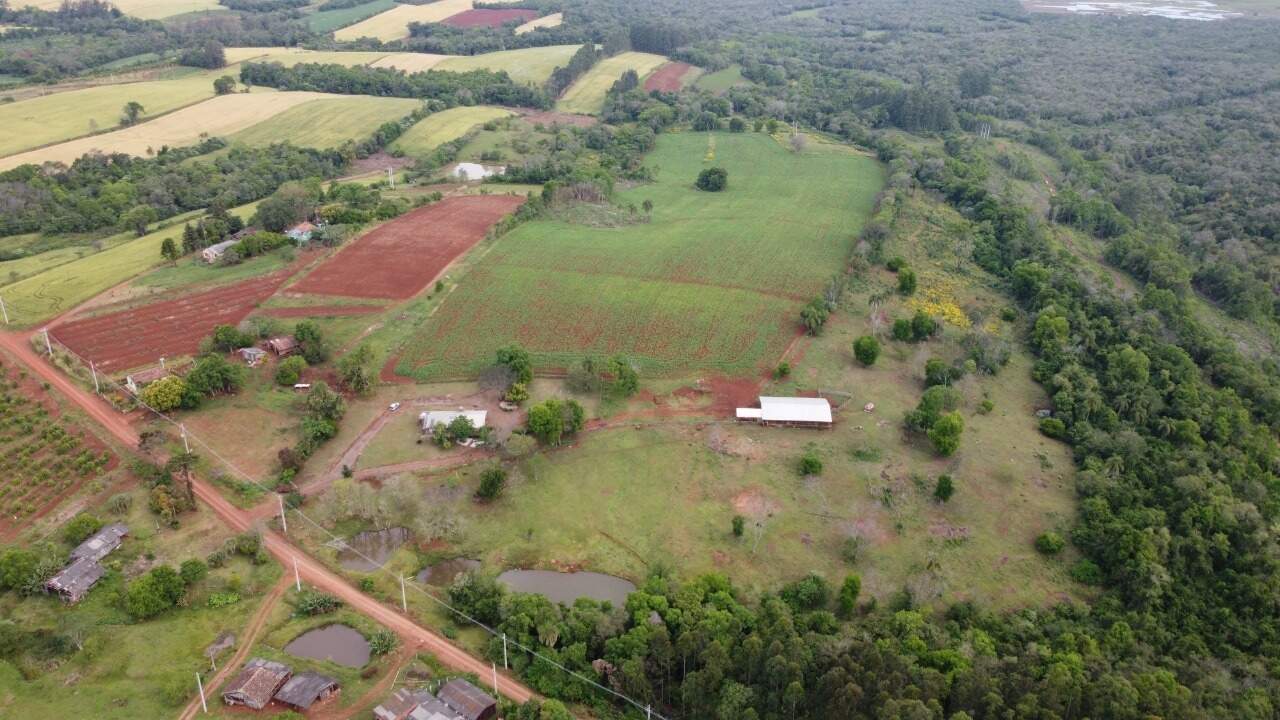 Fazenda à venda com 4 quartos, 175m² - Foto 36