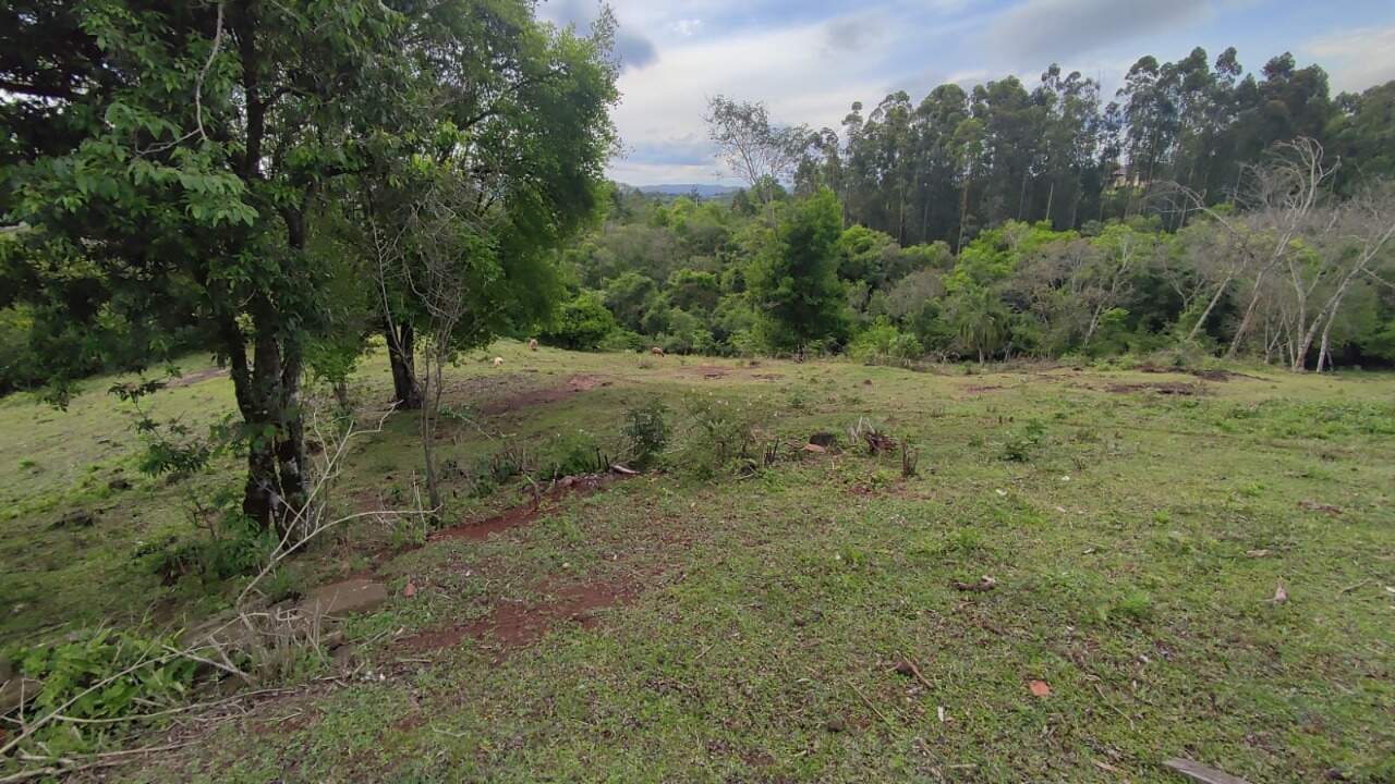 Fazenda à venda com 4 quartos, 175m² - Foto 38