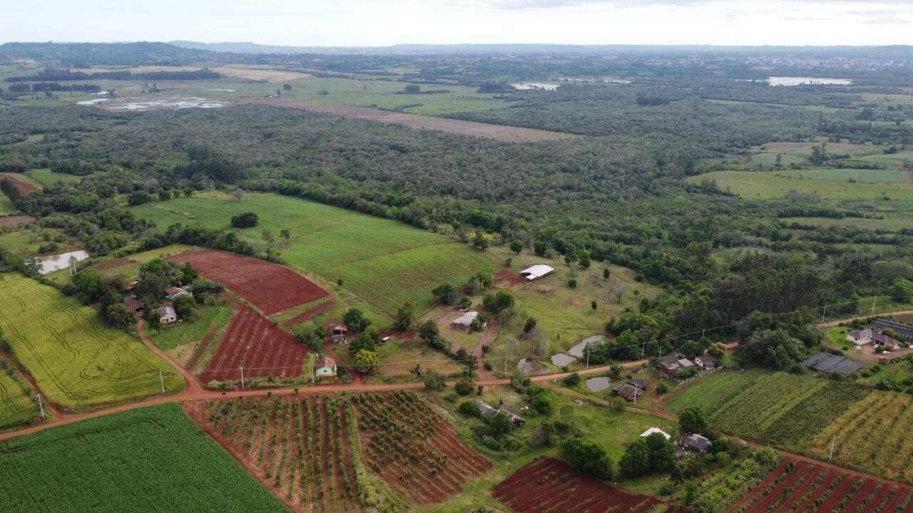 Fazenda à venda com 4 quartos, 175m² - Foto 43