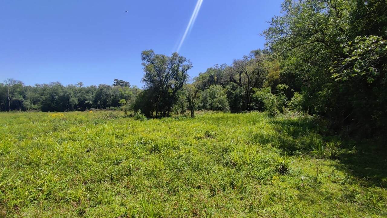 Fazenda à venda com 4 quartos, 175m² - Foto 51