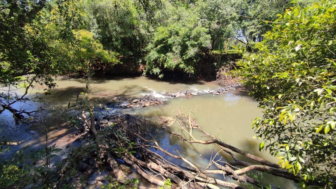 Fazenda à venda com 4 quartos, 175m² - Foto 56