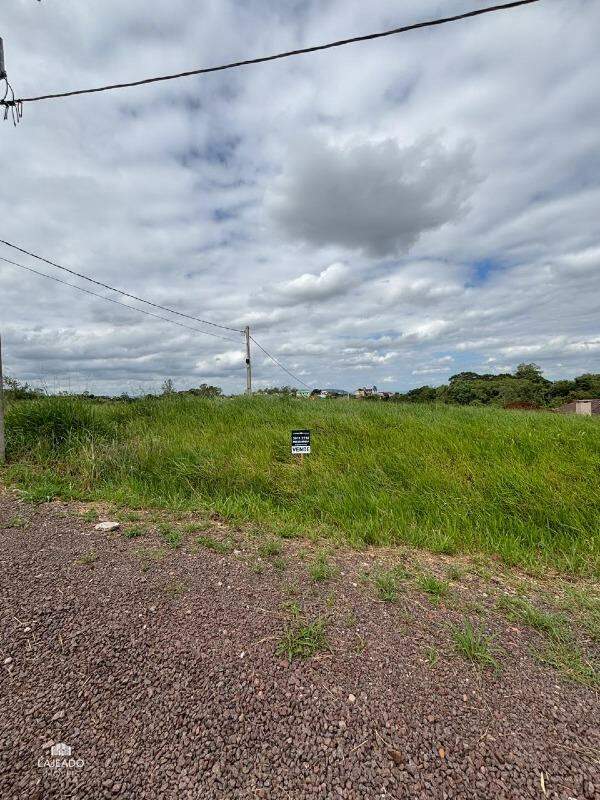 Terreno à venda, 224m² - Foto 4