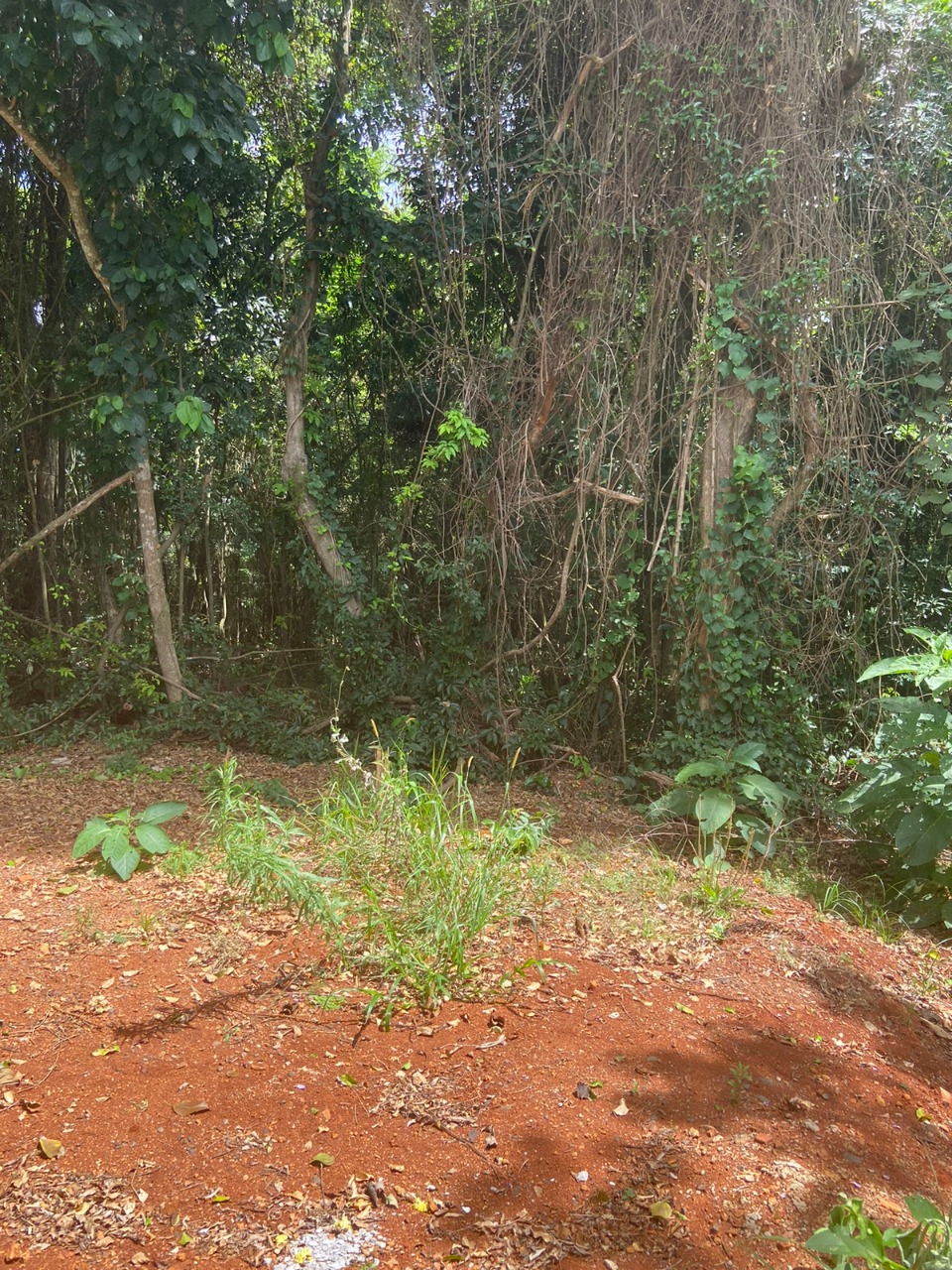 Casa, 2 quartos, 84 m² - Foto 17