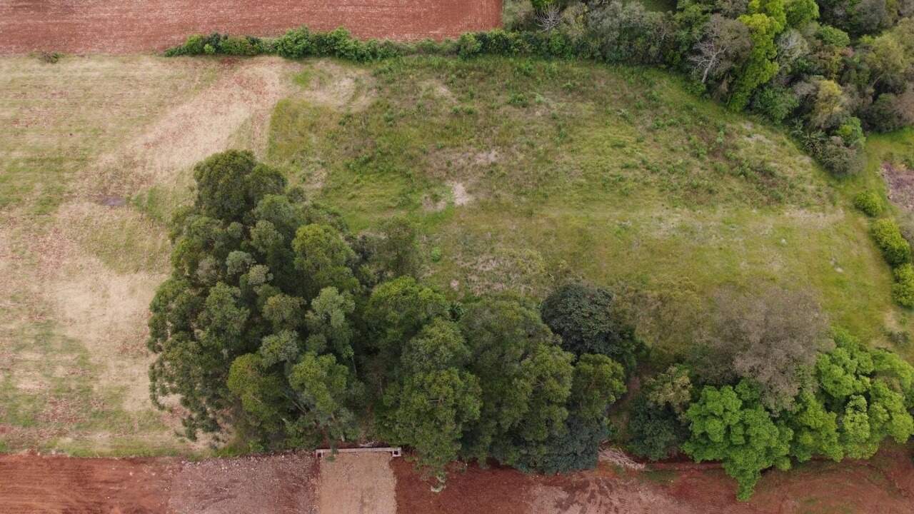 Terreno à venda, 7000m² - Foto 1