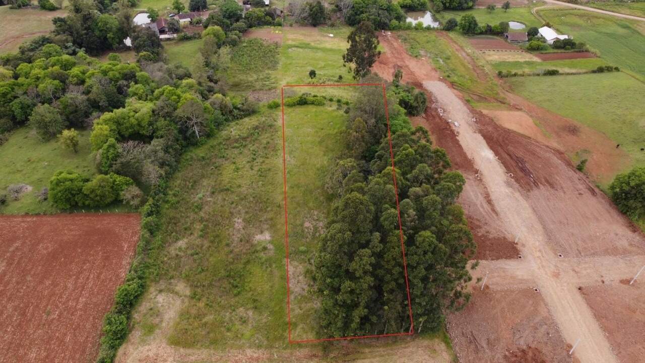 Terreno à venda, 7000m² - Foto 3