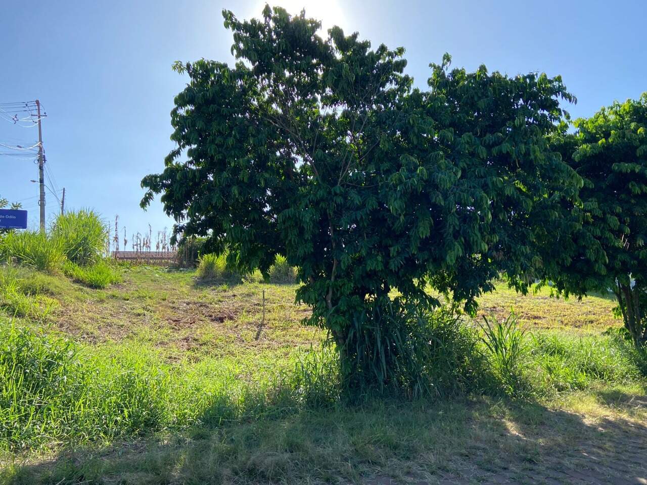 Terreno à venda no Moinhos D’Água: 