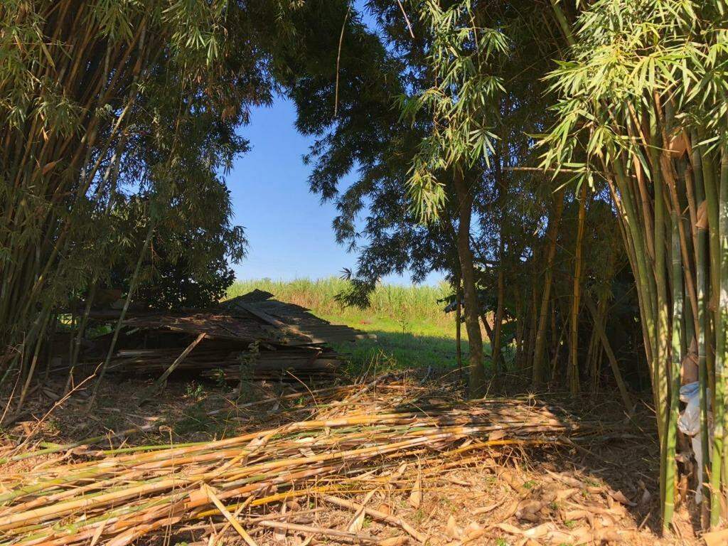 Fazenda à venda com 3 quartos, 100m² - Foto 13