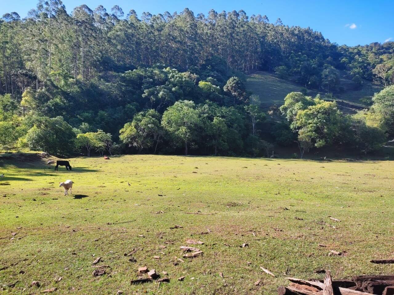 Fazenda à venda com 3 quartos, 145m² - Foto 5