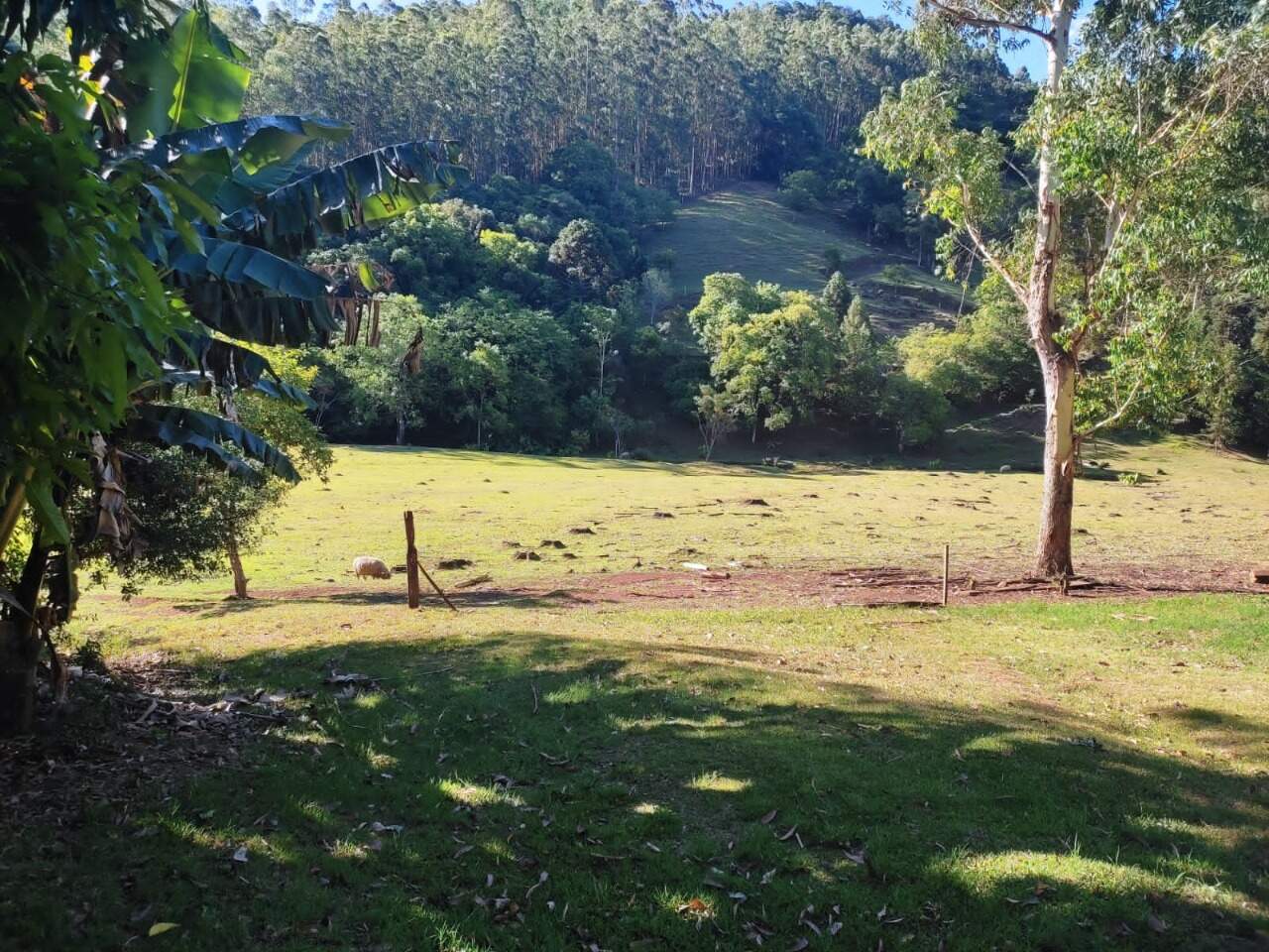 Fazenda à venda com 3 quartos, 145m² - Foto 6