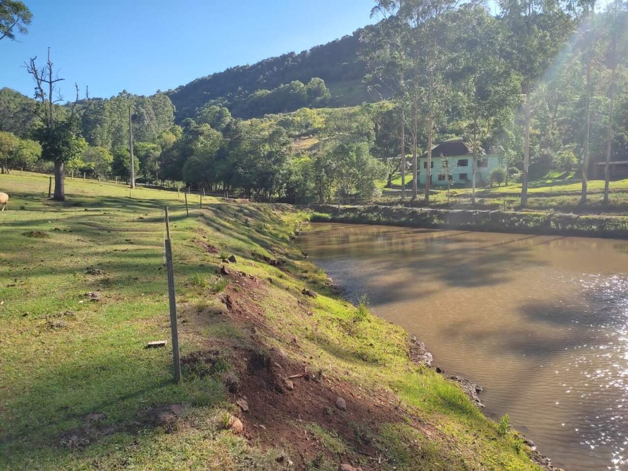 Fazenda à venda com 3 quartos, 145m² - Foto 7