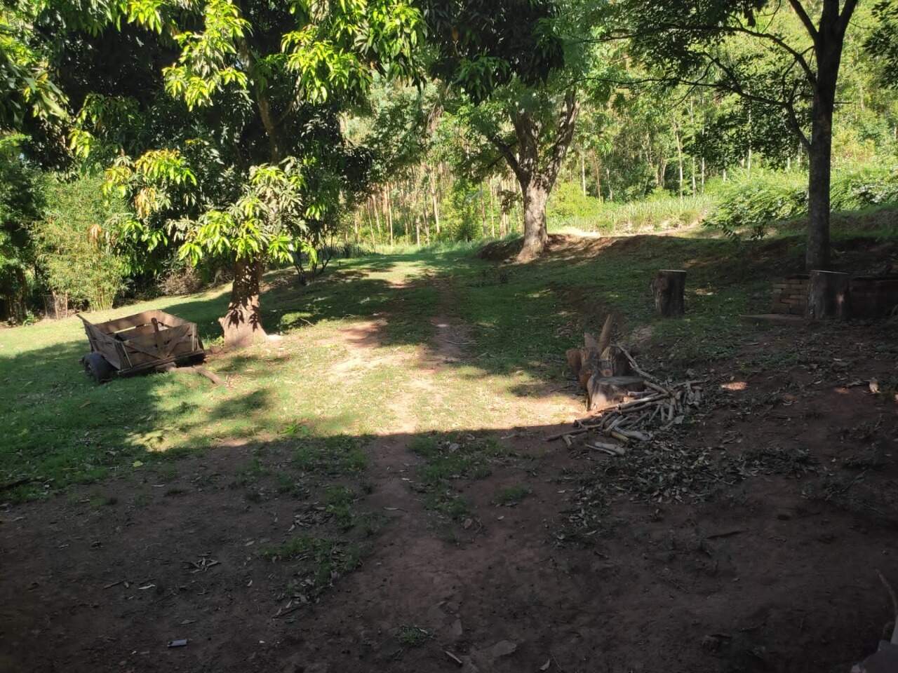 Fazenda à venda com 3 quartos, 145m² - Foto 8