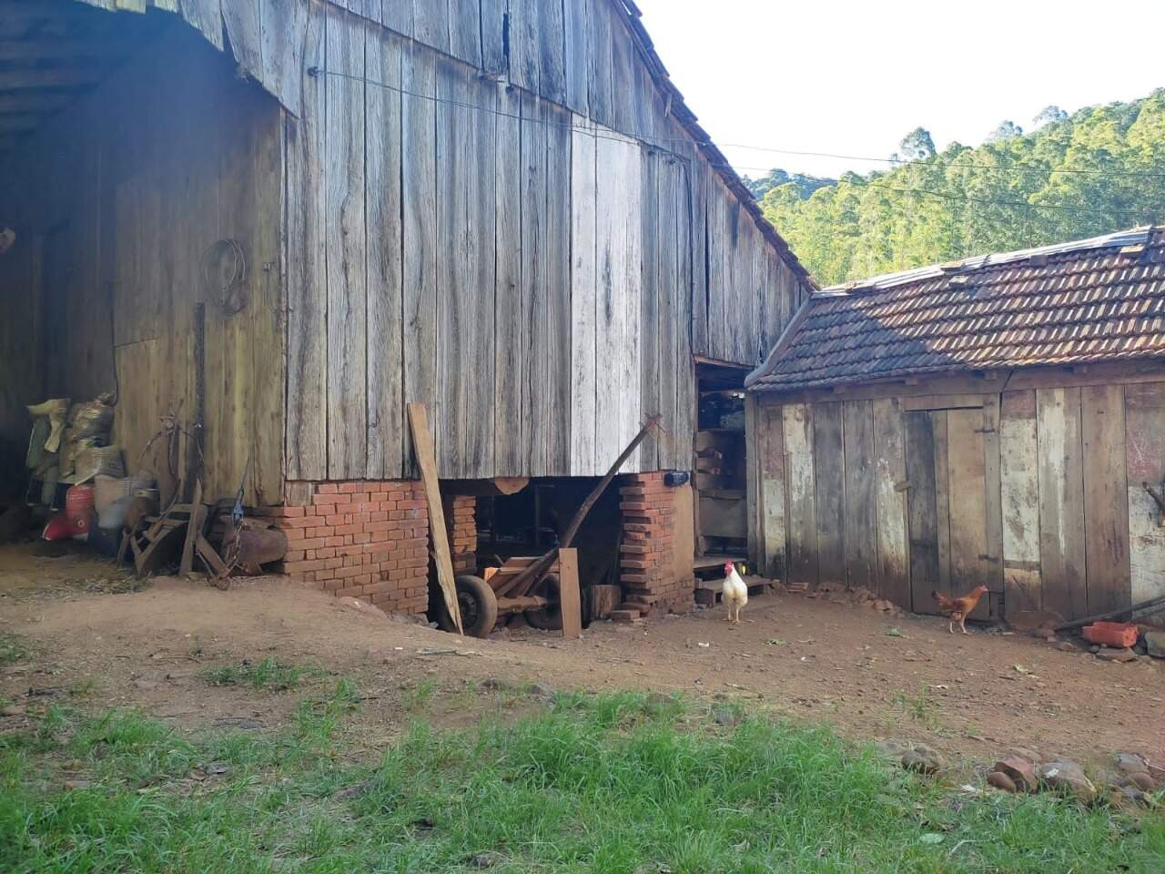 Fazenda à venda com 3 quartos, 145m² - Foto 14