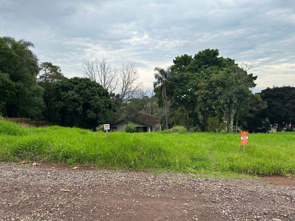 Terreno à venda no Universitário: 