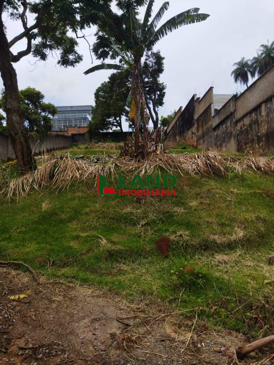 Lotes/Terrenos à venda no Pampulha: 