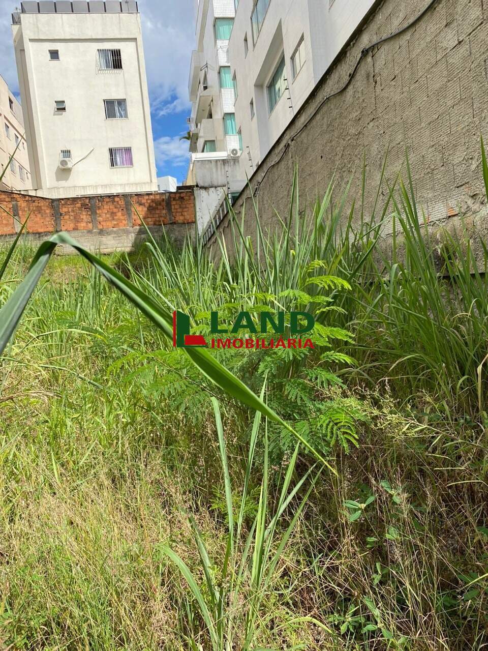 Lotes/Terrenos à venda no Santa Rosa: 