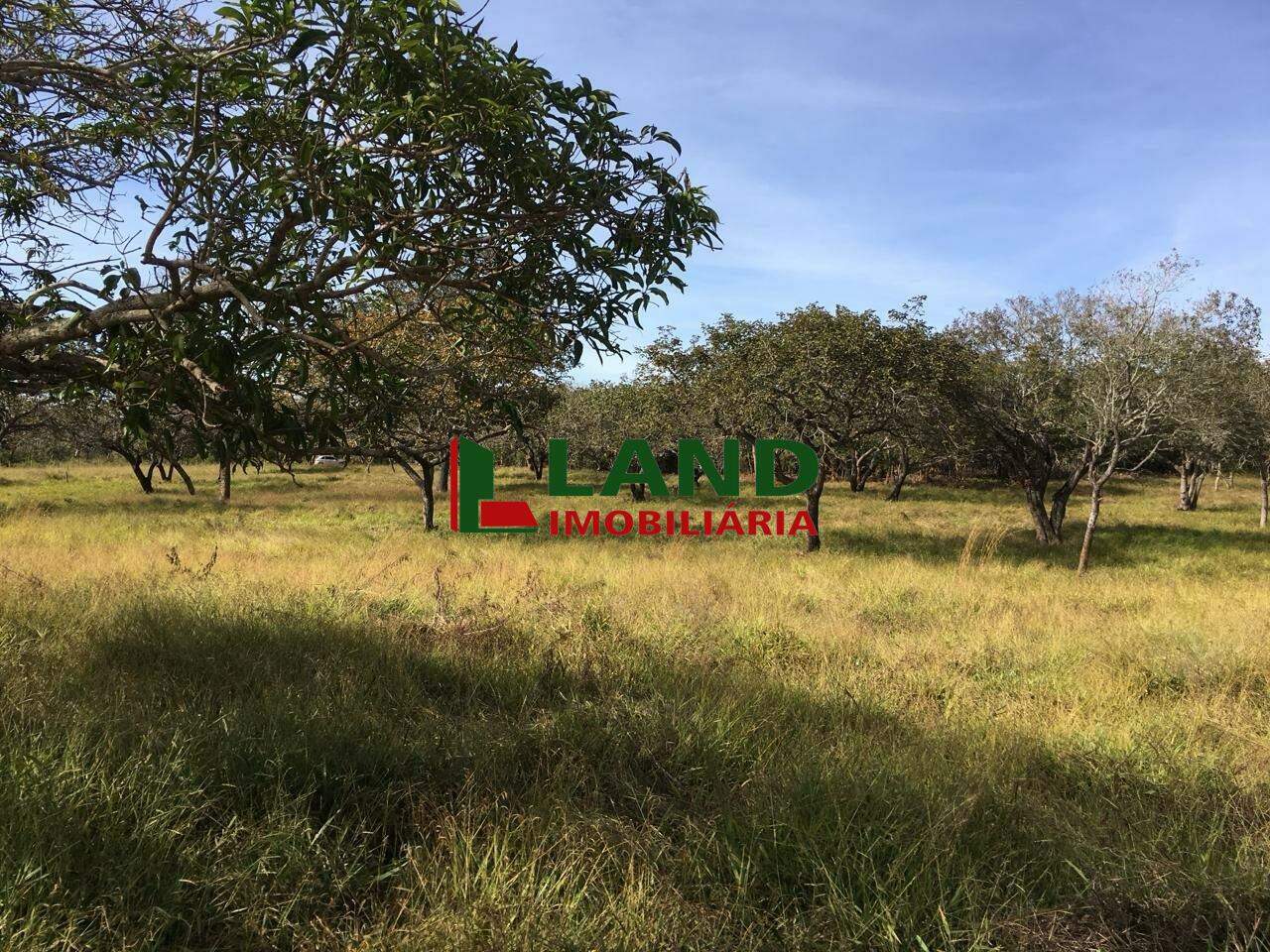 Lotes/Terrenos à venda no Fidalgo: 