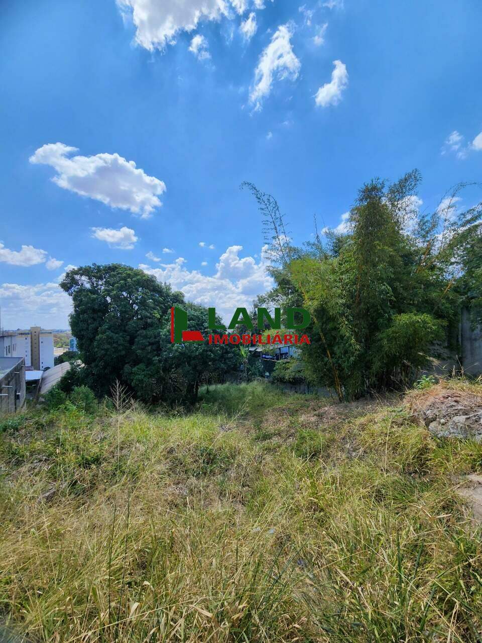 Lotes/Terrenos à venda no São Francisco: 