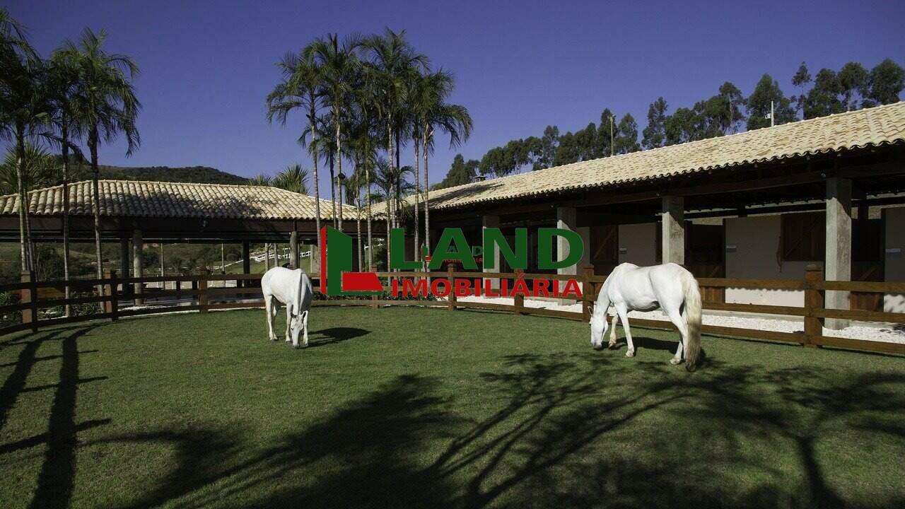 Lotes/Terrenos à venda no Minas Gerais: 