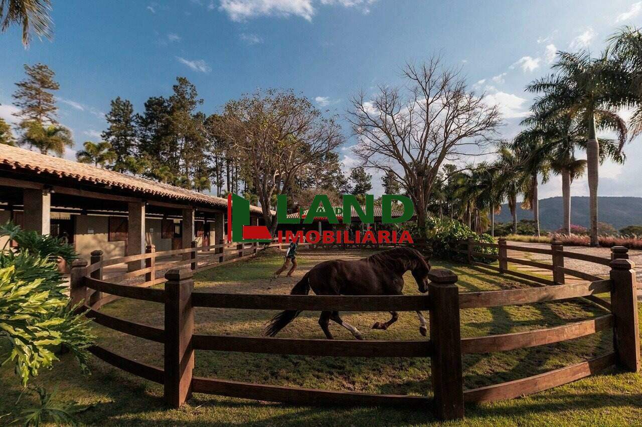 Lotes/Terrenos à venda no Minas Gerais: 