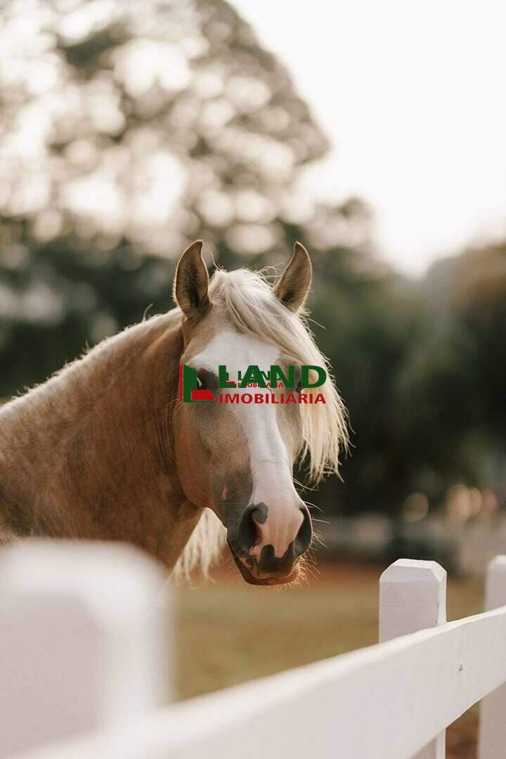 Lotes/Terrenos à venda no Minas Gerais: 