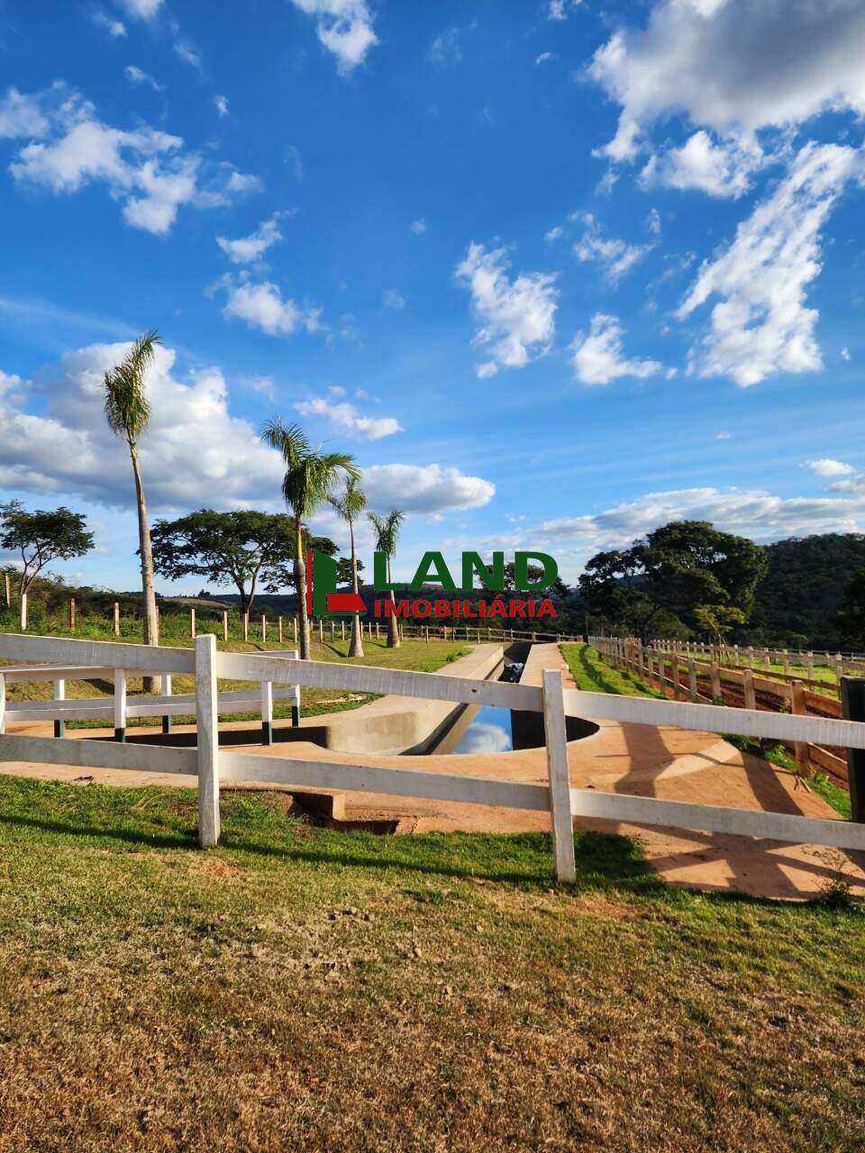 Lotes/Terrenos à venda no Minas Gerais: 